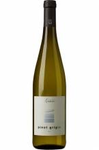 | Pinot Grigio Alto Adige DOC